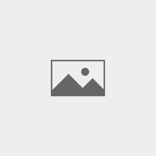 N.T. Associates & Trading Co.